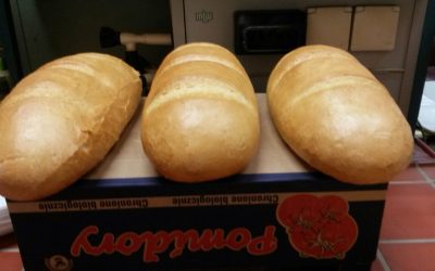 Разработка на технологични съоръжения (тунелна пещ, пруфер) за Хлебозавод Велико Търново
